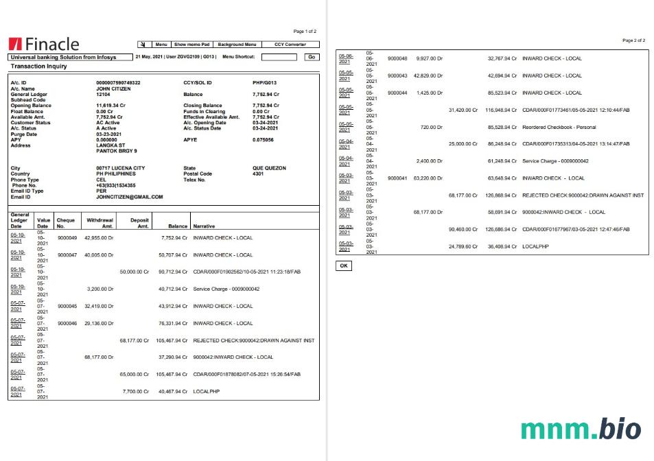 Wyciąg z banku India Finacle łatwy do wypełnienia szablon w formacie Word i PDF